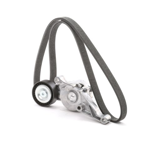 Ridex 542R0499 V-Ribbed Belt Set