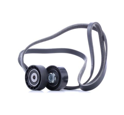 Ridex 542R0501 V-Ribbed Belt Set