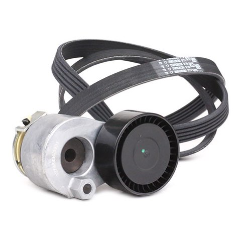 Ridex 542R0509 V-Ribbed Belt Set, photo 3
