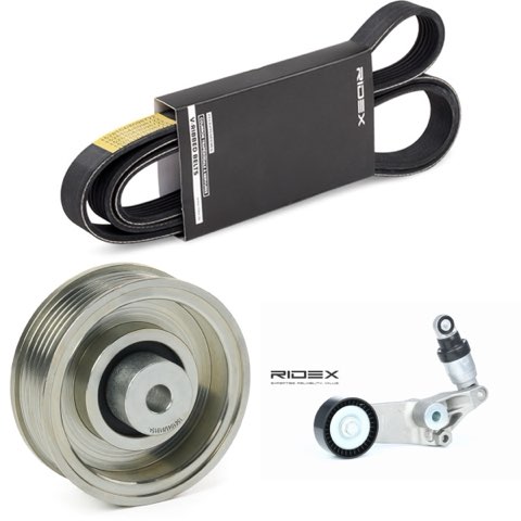 Ridex 542R0520 V-Ribbed Belt Set