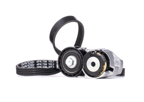Ridex 542R0521 V-Ribbed Belt Set