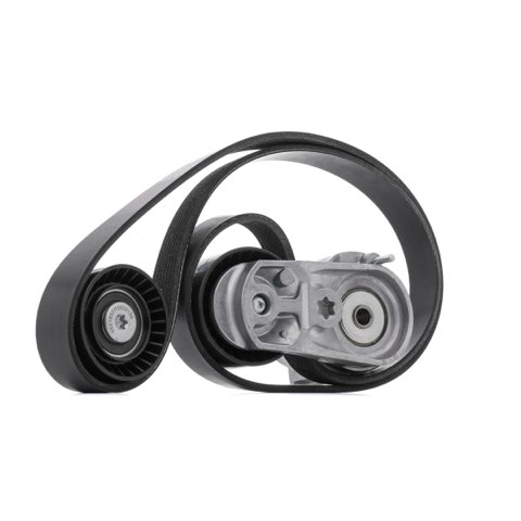 Ridex 542R0556 V-Ribbed Belt Set, photo 2