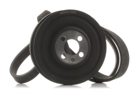 Ridex 542R0648 V-Ribbed Belt Set, photo 2