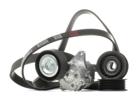 Ridex 542R0995 V-Ribbed Belt Set, photo 2