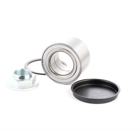Ridex 654W0100 Wheel Bearing Kit