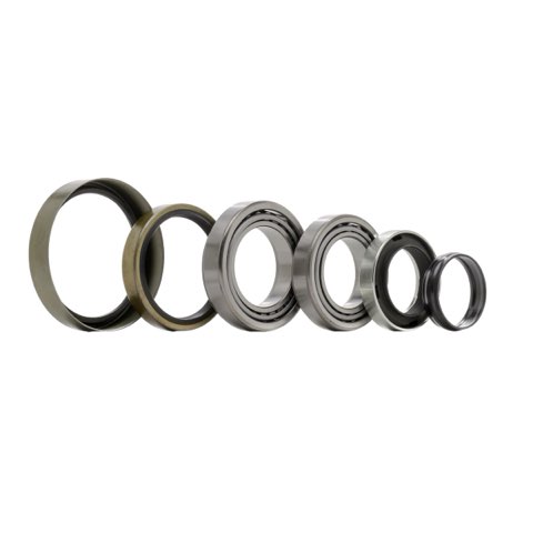 Ridex 654W0170 Wheel Bearing Kit