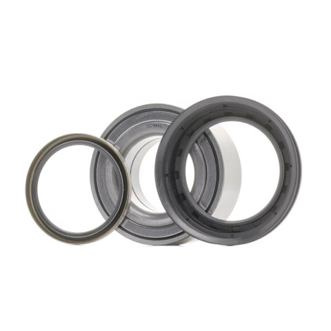 Ridex 654W1002 Wheel Bearing Kit