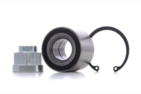 Ridex 654W1132 Wheel Bearing Kit
