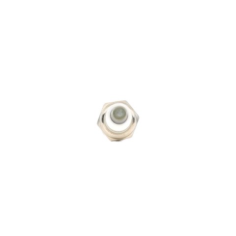 Ridex 686S0046 Spark Plug
