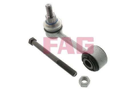 FAG 818 0196 10 Anti-Roll Bar Link