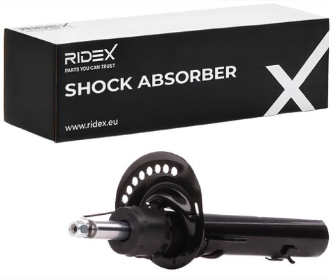 Ridex 854S0016 Shock Absorber, photo 2