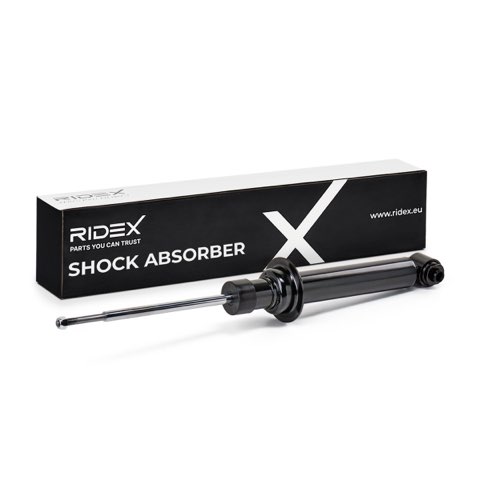 Ridex 854S0048 Shock Absorber, photo 2