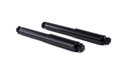 Ridex 854S0055 Shock Absorber