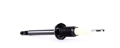 Ridex 854S0066 Shock Absorber