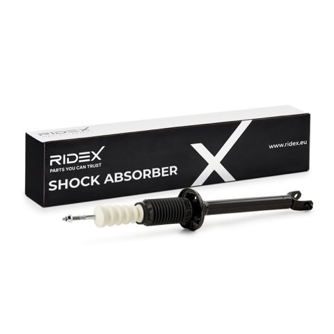 Ridex 854S0066 Shock Absorber, photo 2