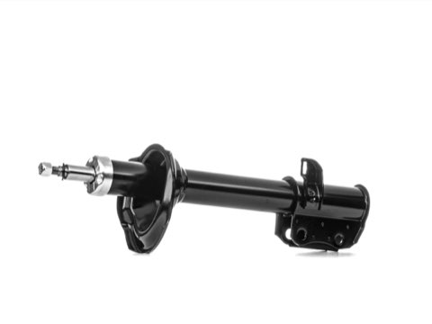 Ridex 854S0100 Shock Absorber