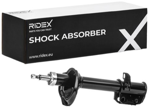 Ridex 854S0100 Shock Absorber, photo 2