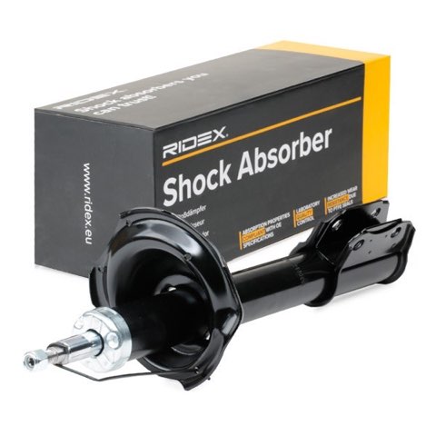 Ridex 854S0100 Shock Absorber, photo 3