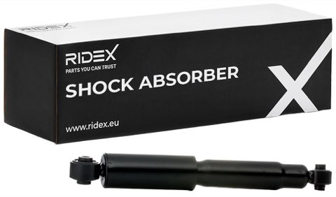 Ridex 854S0125 Shock Absorber, photo 2