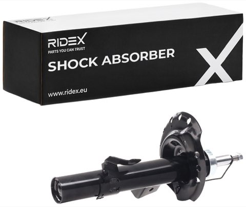 Ridex 854S0148 Shock Absorber, photo 2