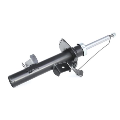 Ridex 854S0148 Shock Absorber, photo 3