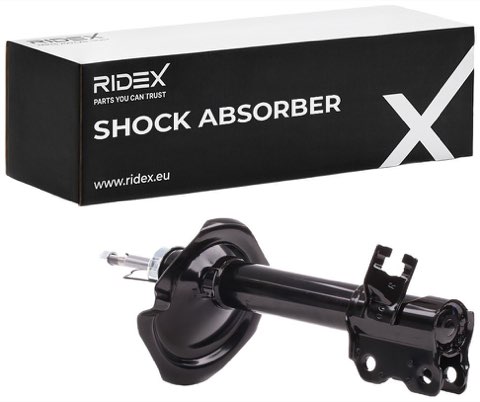 Ridex 854S0164 Shock Absorber, photo 2
