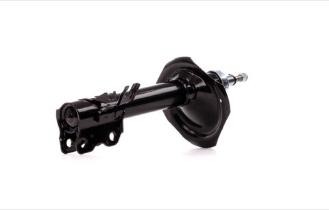 Ridex 854S0170 Shock Absorber