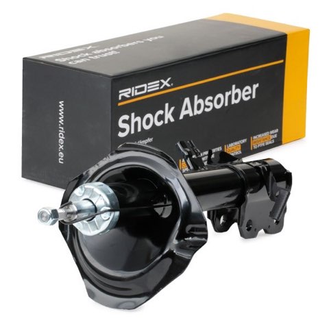 Ridex 854S0170 Shock Absorber, photo 3