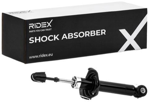 Ridex 854S0174 Shock Absorber, photo 2