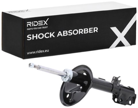 Ridex 854S0223 Shock Absorber, photo 2