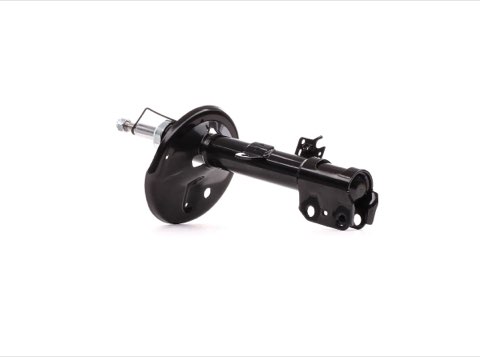 Ridex 854S0224 Shock Absorber