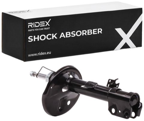 Ridex 854S0224 Shock Absorber, photo 2