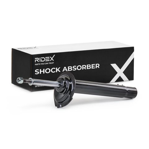 Ridex 854S0235 Shock Absorber, photo 2