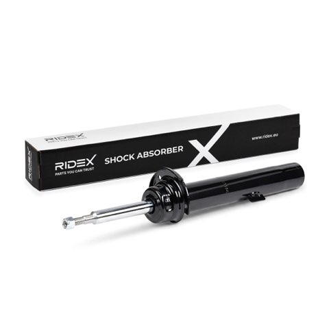 Ridex 854S0249 Shock Absorber, photo 2