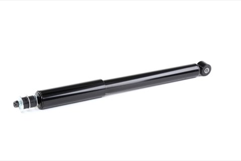 Ridex 854S0254 Shock Absorber