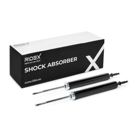 Ridex 854S0280 Shock Absorber, photo 2