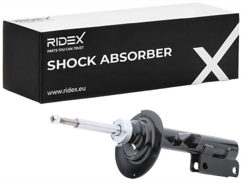 Ridex 854S0285 Shock Absorber, photo 2