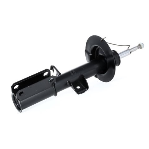 Ridex 854S0285 Shock Absorber, photo 3