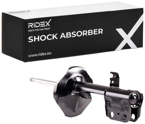 Ridex 854S0361 Shock Absorber, photo 2