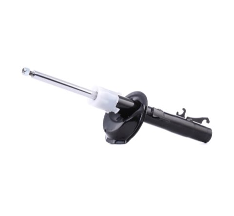 Ridex 854S0379 Shock Absorber