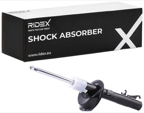 Ridex 854S0379 Shock Absorber, photo 2