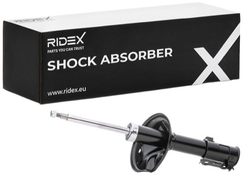 Ridex 854S0416 Shock Absorber, photo 2