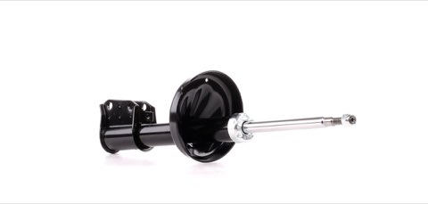 Ridex 854S0528 Shock Absorber