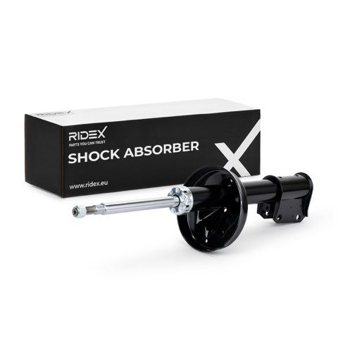 Ridex 854S0528 Shock Absorber, photo 2