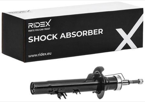 Ridex 854S0534 Shock Absorber, photo 2