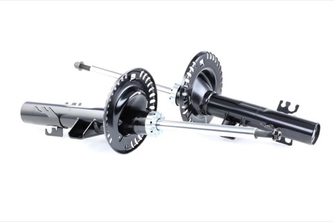Ridex 854S0568 Shock Absorber