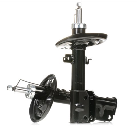 Ridex 854S0587 Shock Absorber