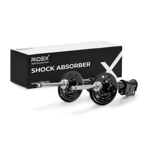 Ridex 854S0587 Shock Absorber, photo 2