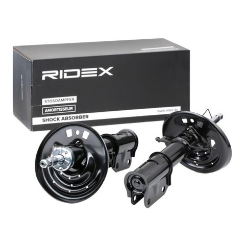 Ridex 854S0587 Shock Absorber, photo 3