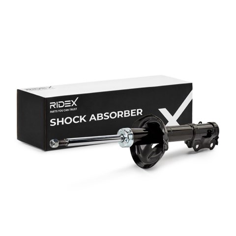 Ridex 854S0652 Shock Absorber, photo 2
